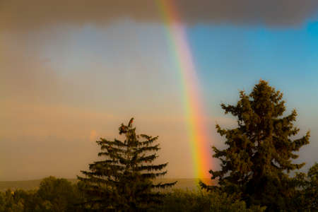Rainbow in a rainy weather in the gray skyの写真素材