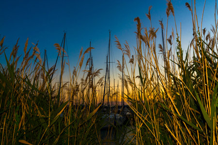 Port of Balatonkenese and reeds in Summer