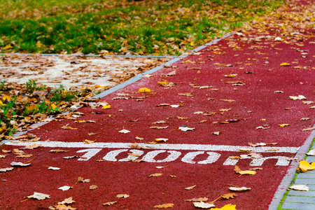 Running track in Liget park of Szeged in autumnの写真素材