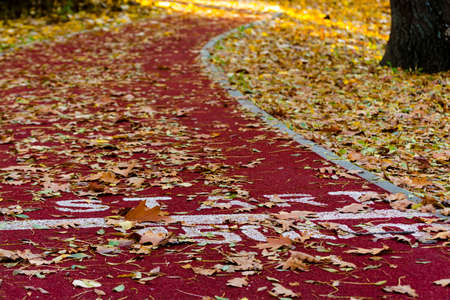 Running track in Liget park of Szeged in autumnの写真素材