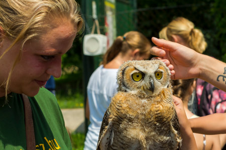 SZEGED, HUNGARY - JULY 24. 2016: People and trainder with an Indian eagle-owl at a bird show in Szeged Zooのeditorial素材