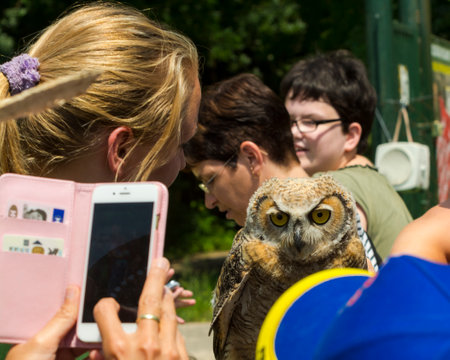SZEGED, HUNGARY - JULY 24. 2016: People and trainder with an Indian eagle-owl at a bird show in Szeged Zooのeditorial素材