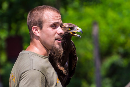Golden eagle and its falconer in a birds show in Szegedのeditorial素材