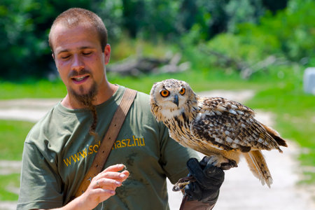 Indian eagle-owl at a bird show in Szeged Zooのeditorial素材