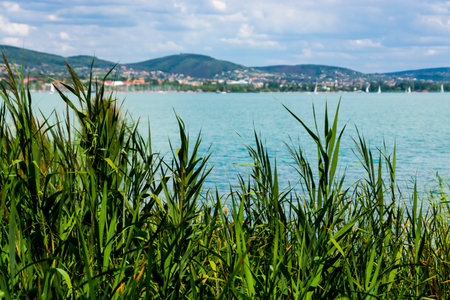 Landscape of Lake Balaton in Tihany in Summerの写真素材