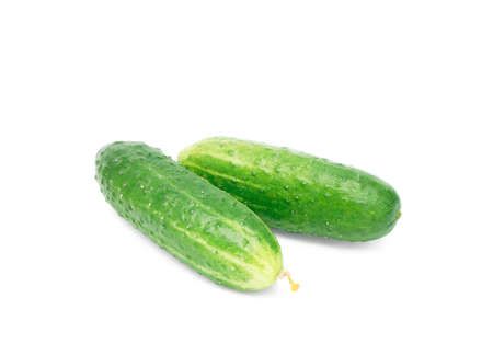 two cucumbers on whiteの写真素材