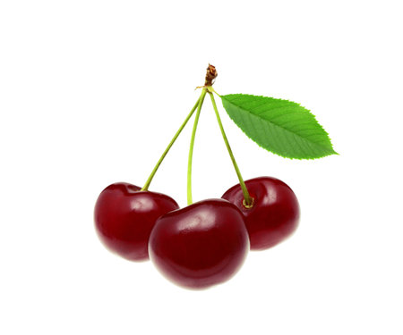 桜の葉っぱの写真 イラスト素材一覧 309 101件 ストックフォトのamanaimages Plus