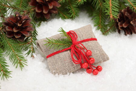 Christmas card: Vintage rural gift  and Christmas tree branch on whiteの写真素材