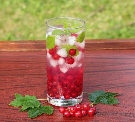 Refreshing summer drink with redcurrant and mintの写真素材