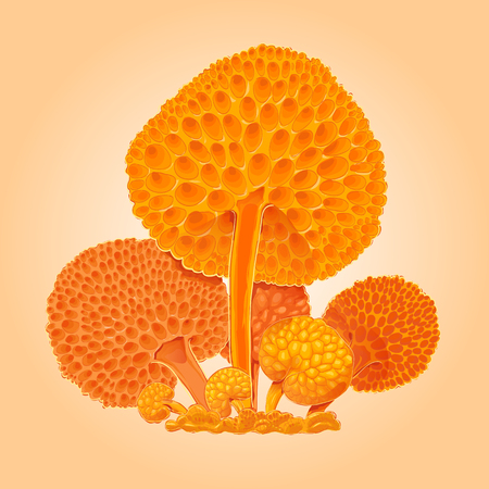 Group of orange fantastic mushrooms. Orange cartoon fungus. Hand drawn illustration. Icon for game. Suit for sticky labelのイラスト素材