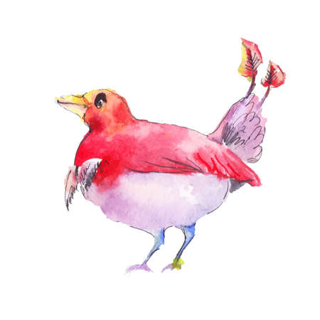 Fantastic red bird. Red bird watercolor. Fantastic bird drawn by hand. Isolated painting on white.のイラスト素材