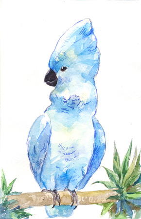 Blue cockatoo. Watercolor parrot, outline by hand. Illustration isolated on white.の写真素材