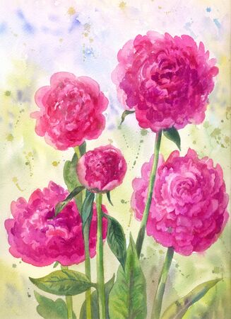 bush of bright peonies with watercolor on the background of a garden or grass. Five purple flowersの写真素材