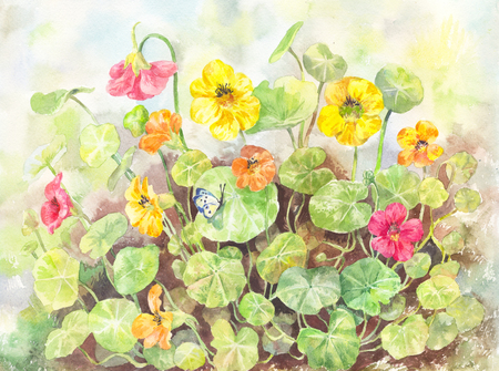 Flower garden poster. Watercolor yellow-pink bouquet for greeting card, summer backgroundの写真素材