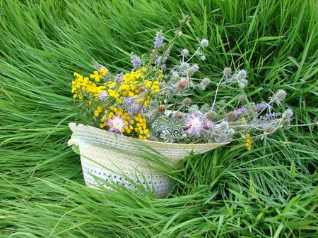 Hat with field flowers in a green grass                               の写真素材
