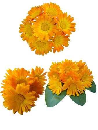 Bouquet of flowers medicinal Calendula の写真素材