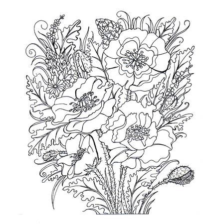 Contour drawing. Coloring. Poppies. Bouquet of poppiesの写真素材