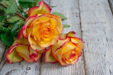 bouquet of yellow-red roses on a wooden backgroundの写真素材