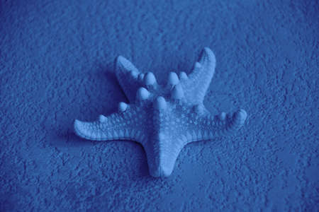 starfish on a concrete background in blue tintingの写真素材