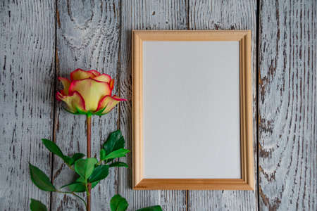 yellow rose with photo frame and place for inscriptionの写真素材