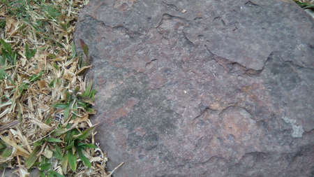 stone on grassの写真素材