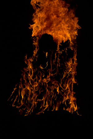 This Log is on Fire