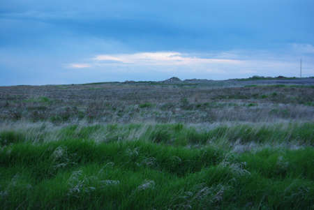 Sunset Fieldの写真素材