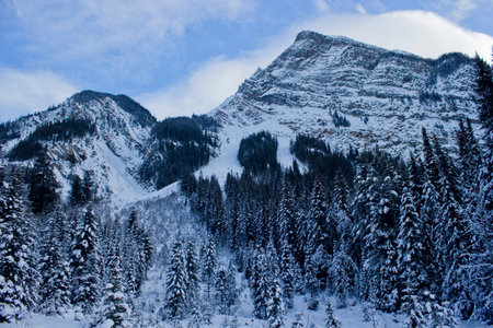 Mountains in Field, B.C.