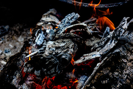 Campfire Burning Logs