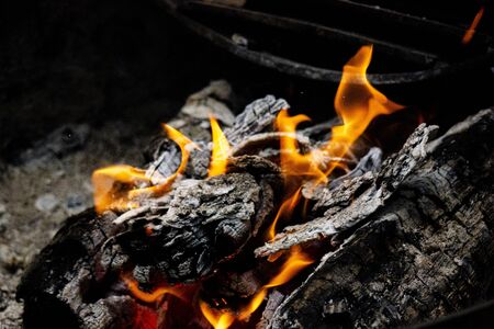 Campfire Burning Logsの写真素材