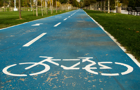 Blue bicycle road in the park with treesの写真素材