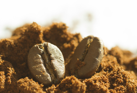 Two coffee beans on ground coffee with white background, extreme close up, macro viewの写真素材