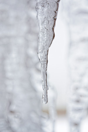 Background of bright transparent hanging down icicles. Ice texture.の写真素材