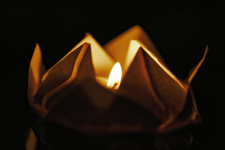 Floating lotus flower on water. Festival paper lanterns at night. Close up and shallow depth of fieldの写真素材