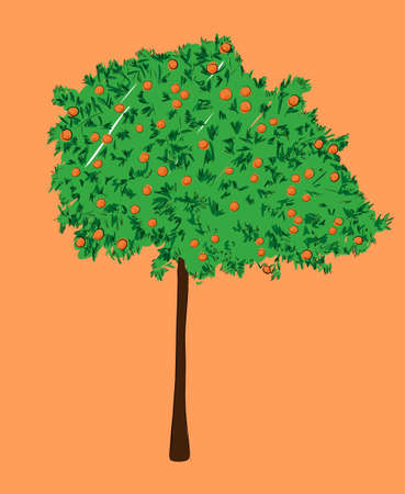 An orange tree isolated on a background. Hand-drawn sketch. Art vector illustration for your designのイラスト素材