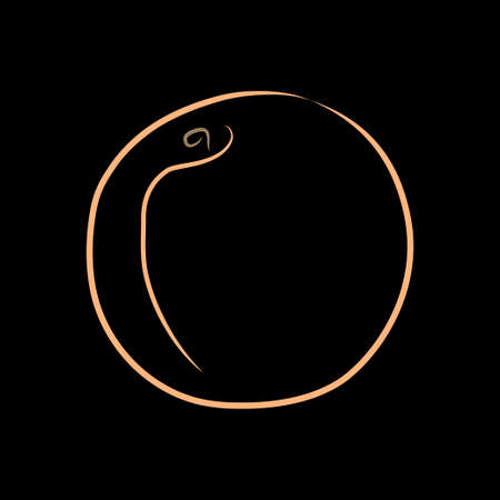 Colored outline of peach isolated on a black background.  sketch. Art illustration for your design.のイラスト素材