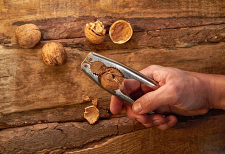 Man cracking walnut with metal nutcracker in hand on wooden backgroundの写真素材