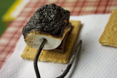 Burnt Smore at Picnic