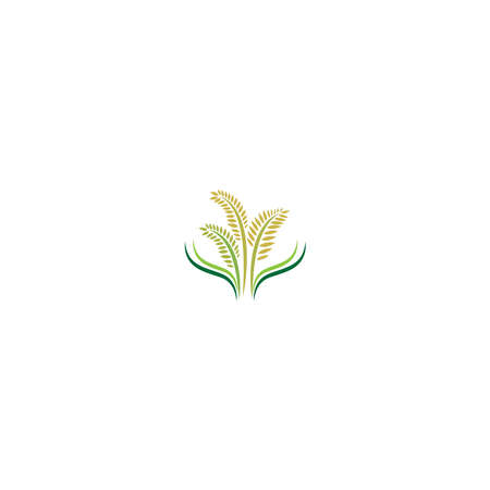 Rice plant logo icon concept illustrationのイラスト素材