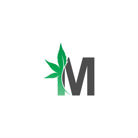 Letter M logo icon with cannabis leaf design vector illustrationのイラスト素材