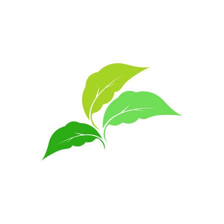Green leaf, natural leaf icon logo design template vectorのイラスト素材
