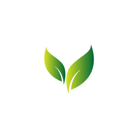Green leaf, natural leaf icon logo design template vectorのイラスト素材