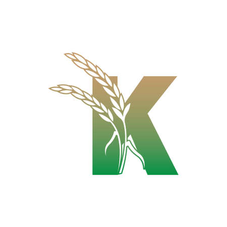 Letter K with rice plant icon illustration template vectorのイラスト素材
