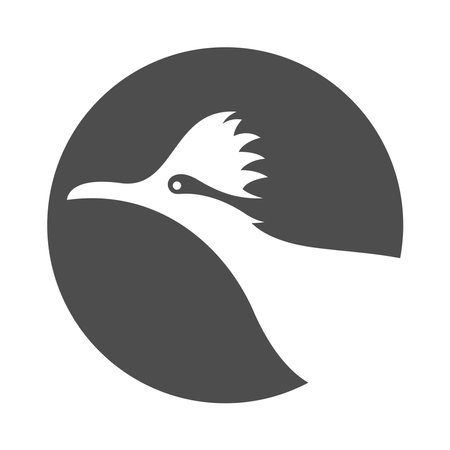 Roadrunner logo icon design illustrationのイラスト素材