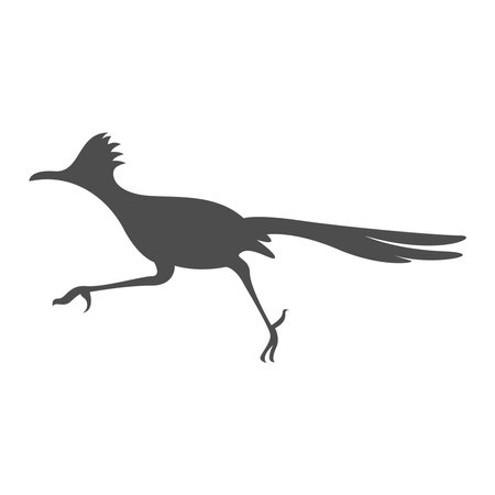 Roadrunner logo icon design illustrationのイラスト素材