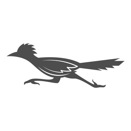 Roadrunner logo icon design illustrationのイラスト素材