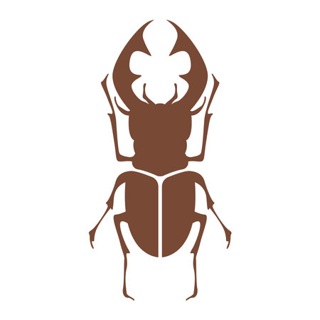 Beetle logo icon design illustrationのイラスト素材
