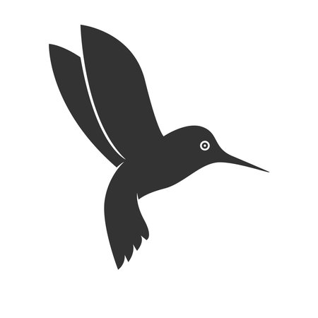 Hummingbird logo icon design templateのイラスト素材