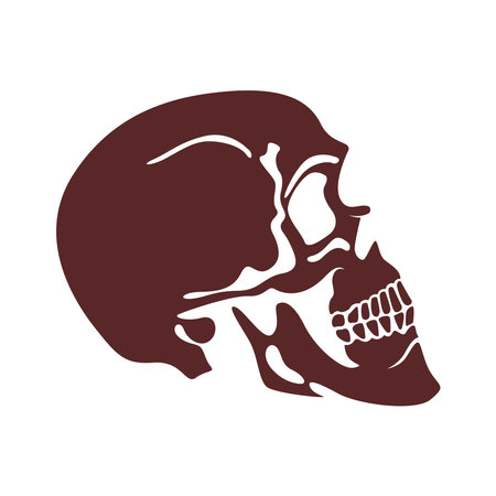 Skull icon logo design templateのイラスト素材