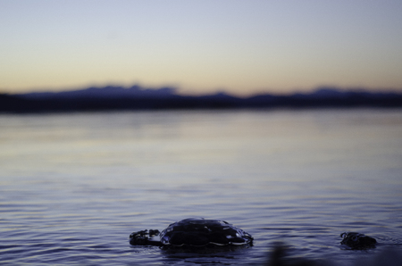 Lake sunriseの写真素材